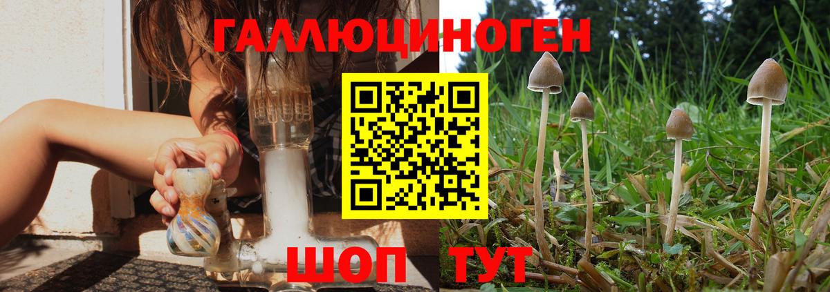 Нижнеудинск  Галлюциногенные грибы Magic Shrooms  Вход с VPN 